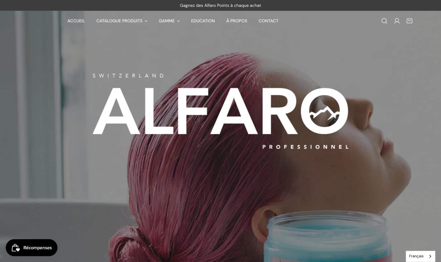 Alfaro Professionnel - site internet réalisé par MB Media Group