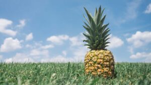 Stack outils marketing digital recommandée par MB Media Group