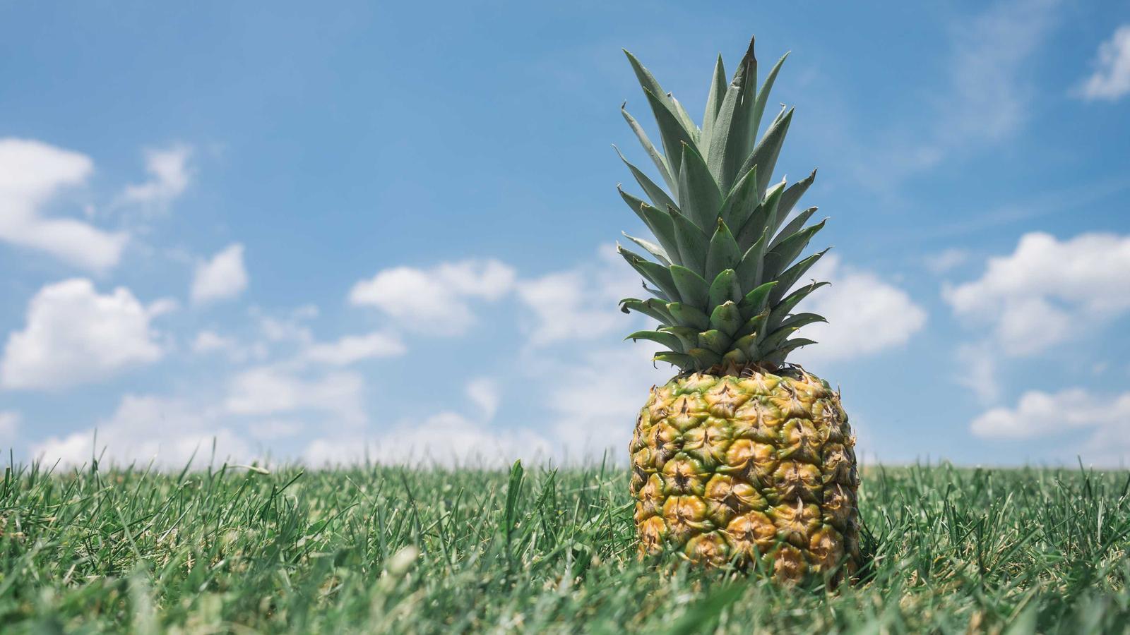 Stack outils marketing digital recommandée par MB Media Group