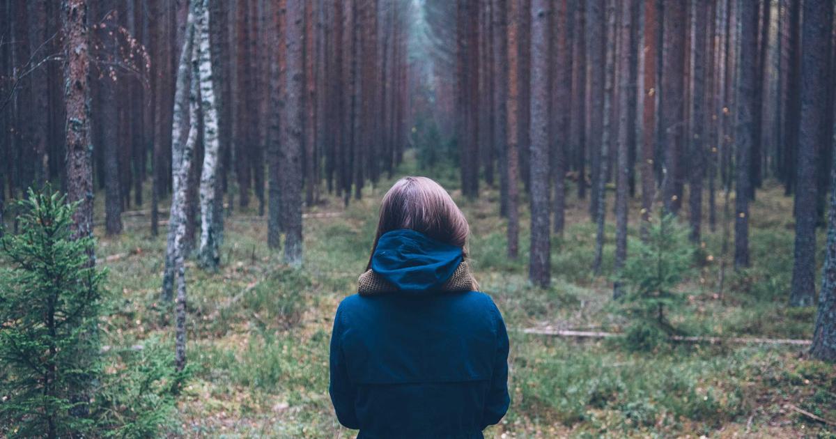 reels instagram conversion - MB Media Group
