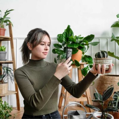 woman-taking-a-snapshot-of-her-plant-for-social-me-2021-10-13-21-44-16-utc-1.jpg
